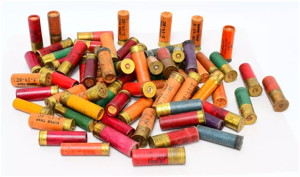 69 Rounds Assorted 12 Gauge Shotgun Shells, Including Vintage Paper Shotshells