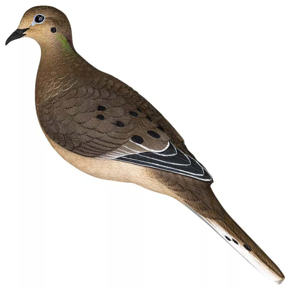 Avian APX Full Body Dove Decoys - 6 Pack