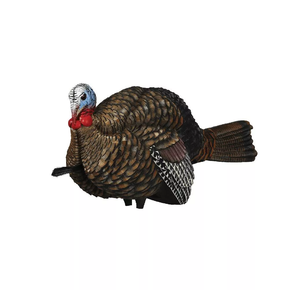 Avian-X LCD 1/2 Strut Jake Decoy for Turkey Hunting