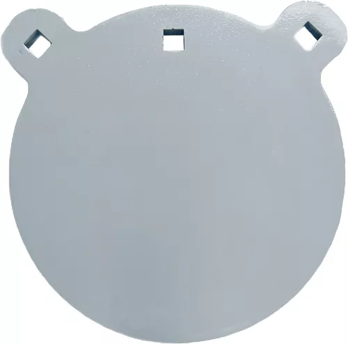 Bash Target AR550 10