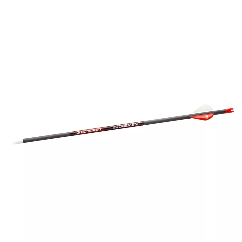 Bloodsport Judgement Arrow 400 Spine - 6 Pack