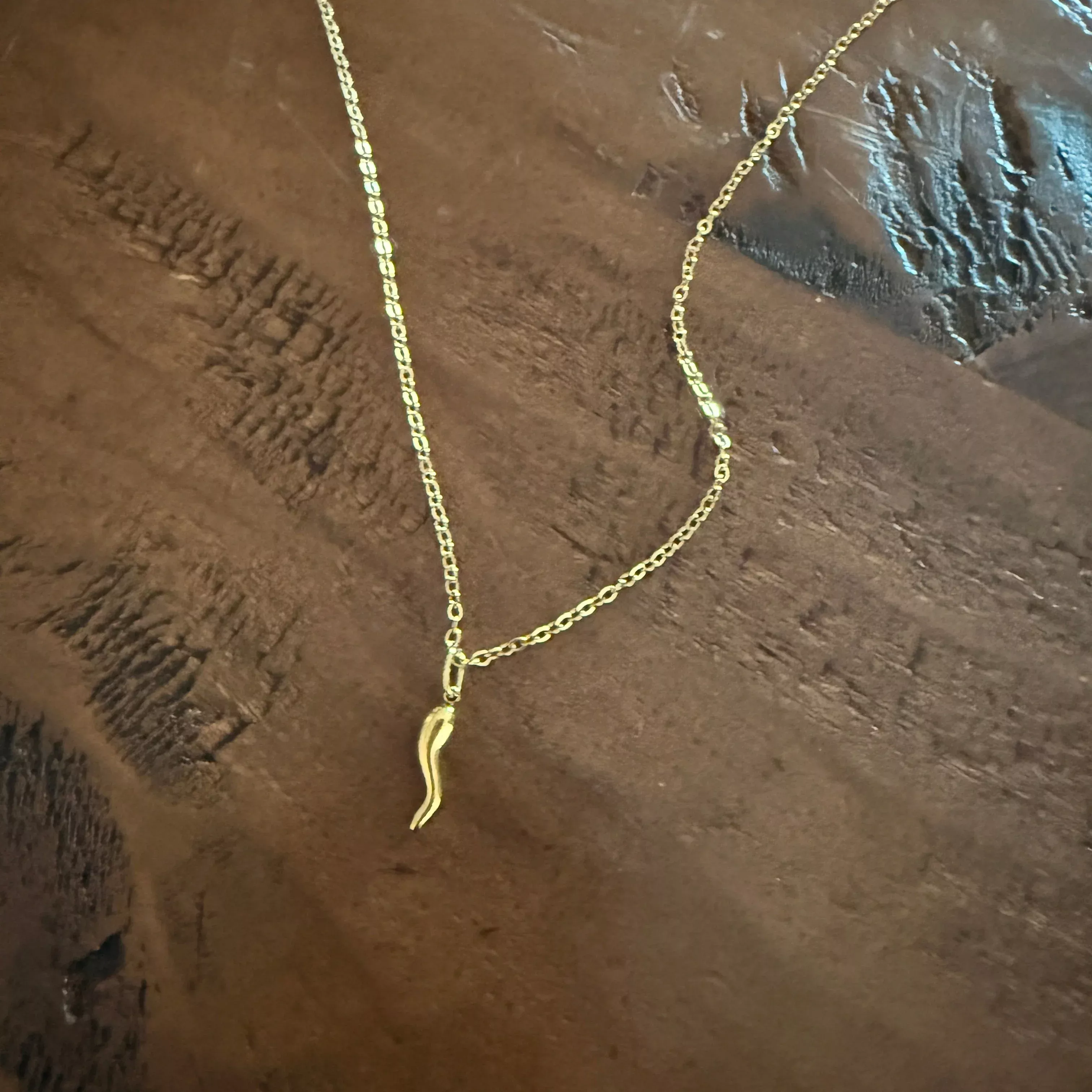 dainty italian horn necklace