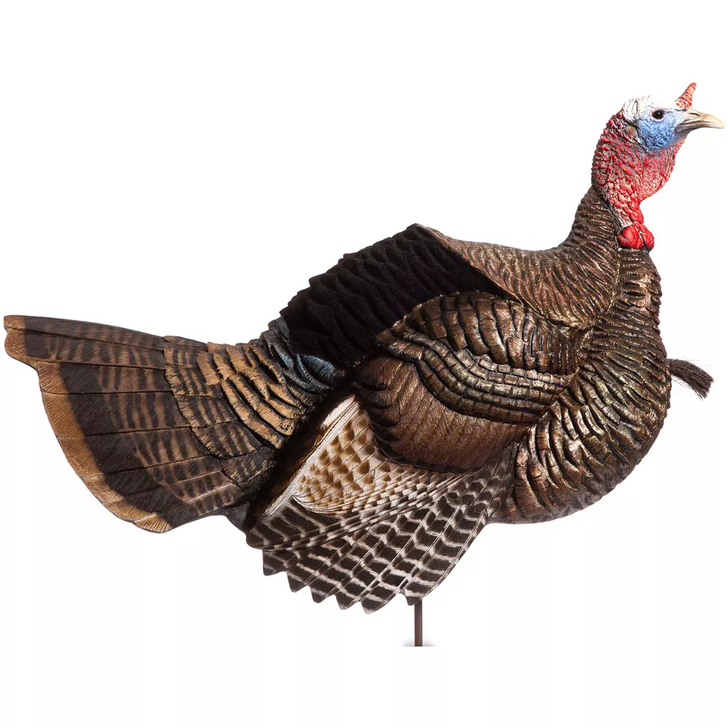 Dave Smith Decoys Posturing Jake Turkey Decoy