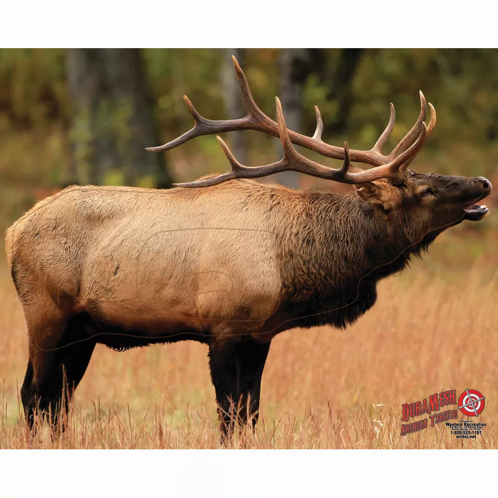 DuraMesh Elk Archery Target - 25 in. x 32 in.