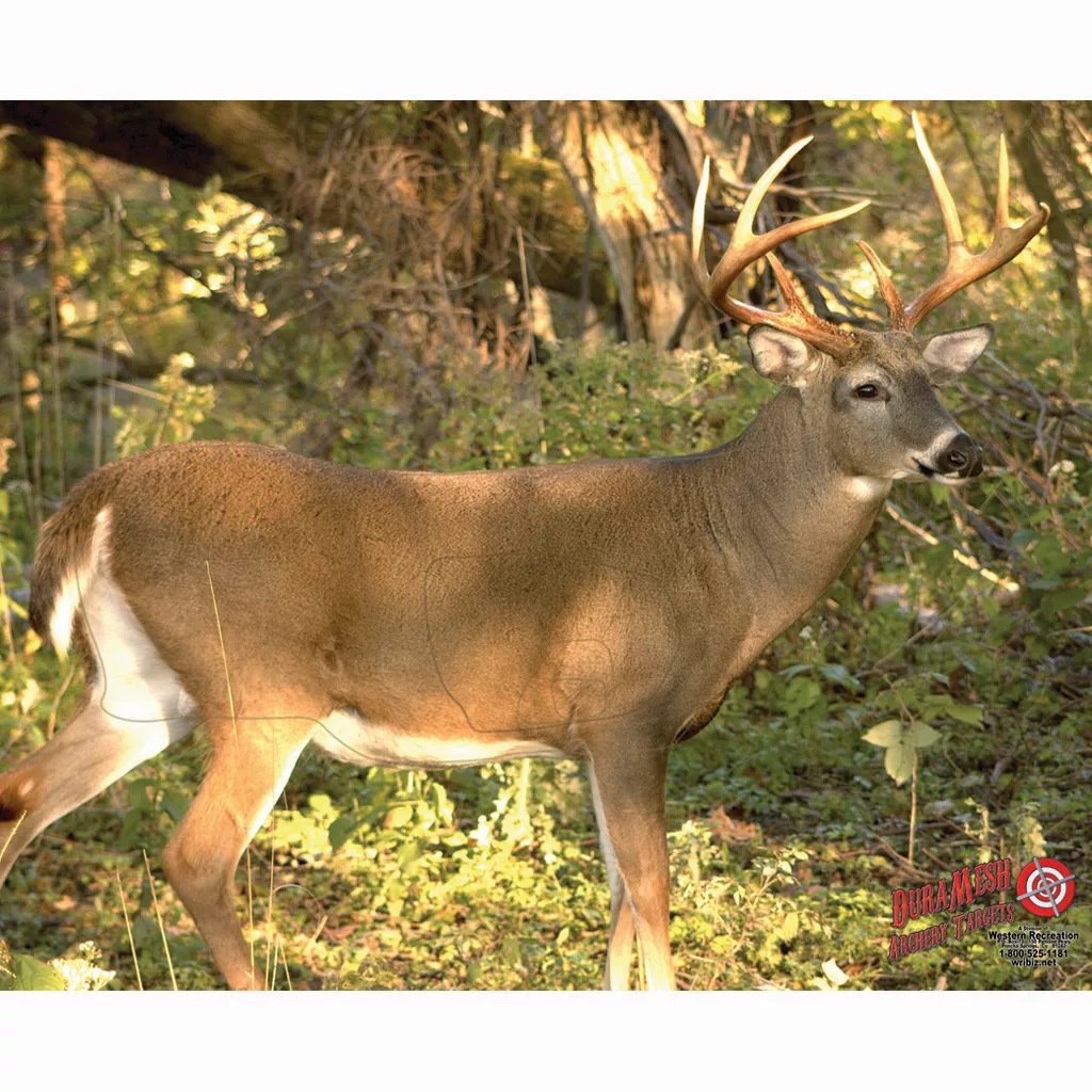 DuraMesh Whitetail 3 Archery Target - 25 in. x 32 in.