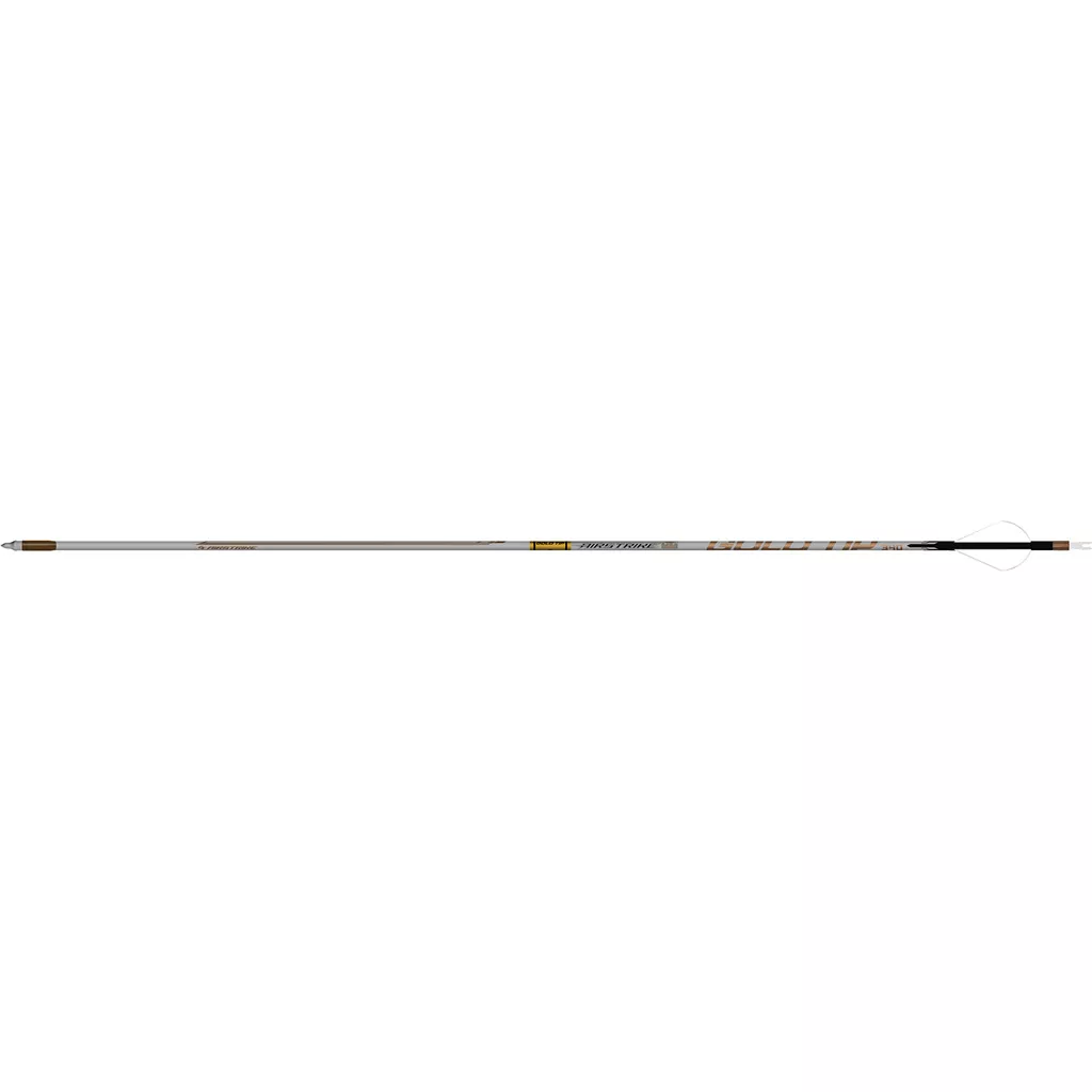 Gold Tip AirStrike Arrows 250 - 6 Pack for Precision Archery