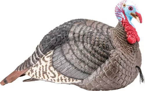 HS Strut-Lite Jake Turkey Decoy - Lightweight & Realistic