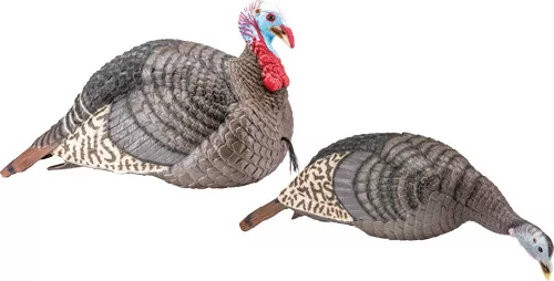 HS Strut Turkey Decoy Combo - Hen/Jake Strut-Lite