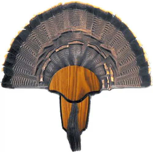 HS Strut Turkey Tail & Beard Mounting Kit