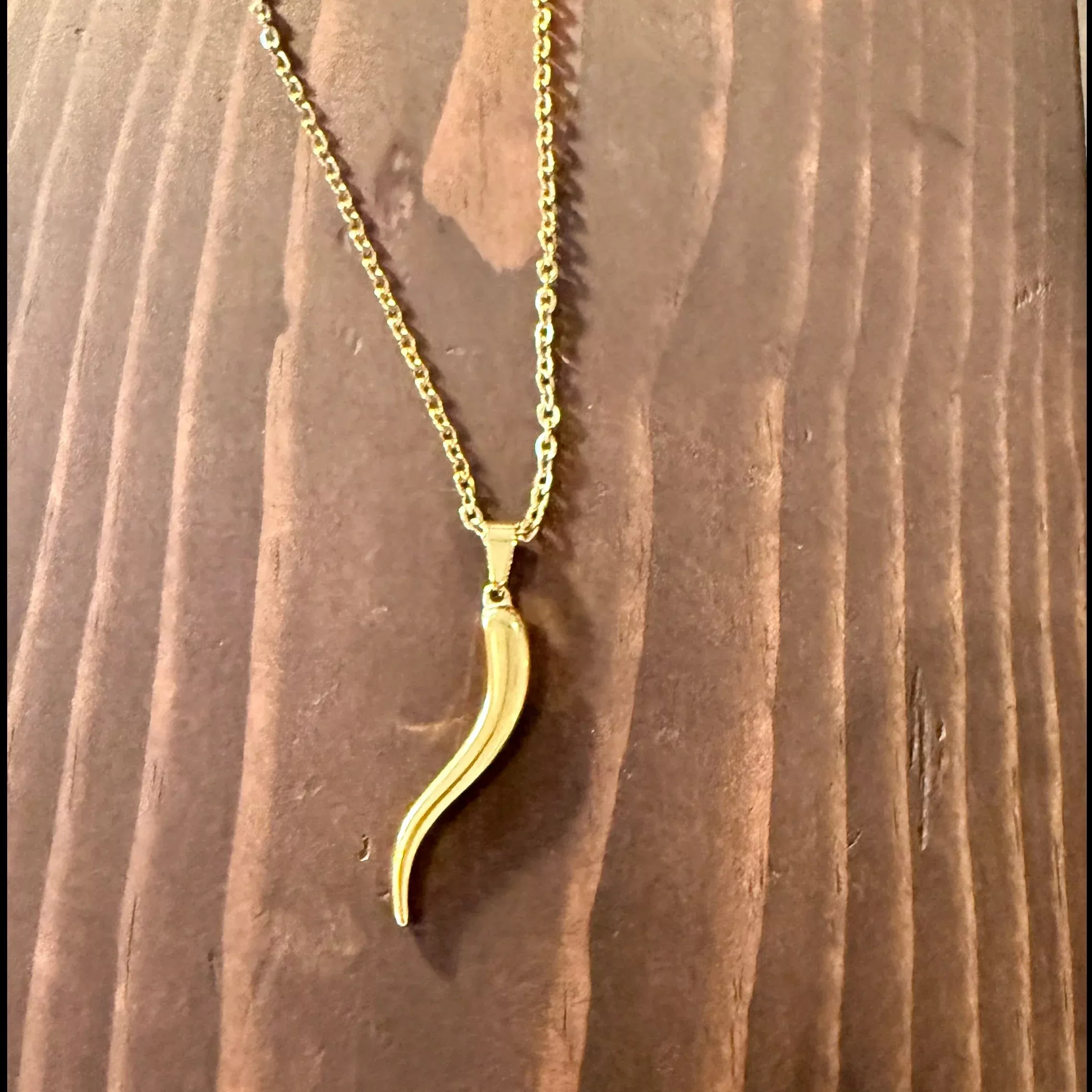 jumbo Italian horn necklace
