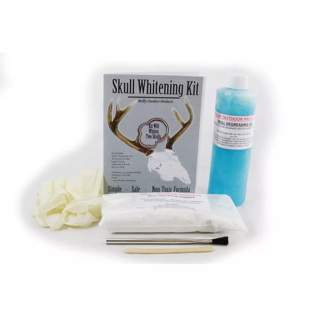 Melby Skull Bleaching Kit for European Mounts