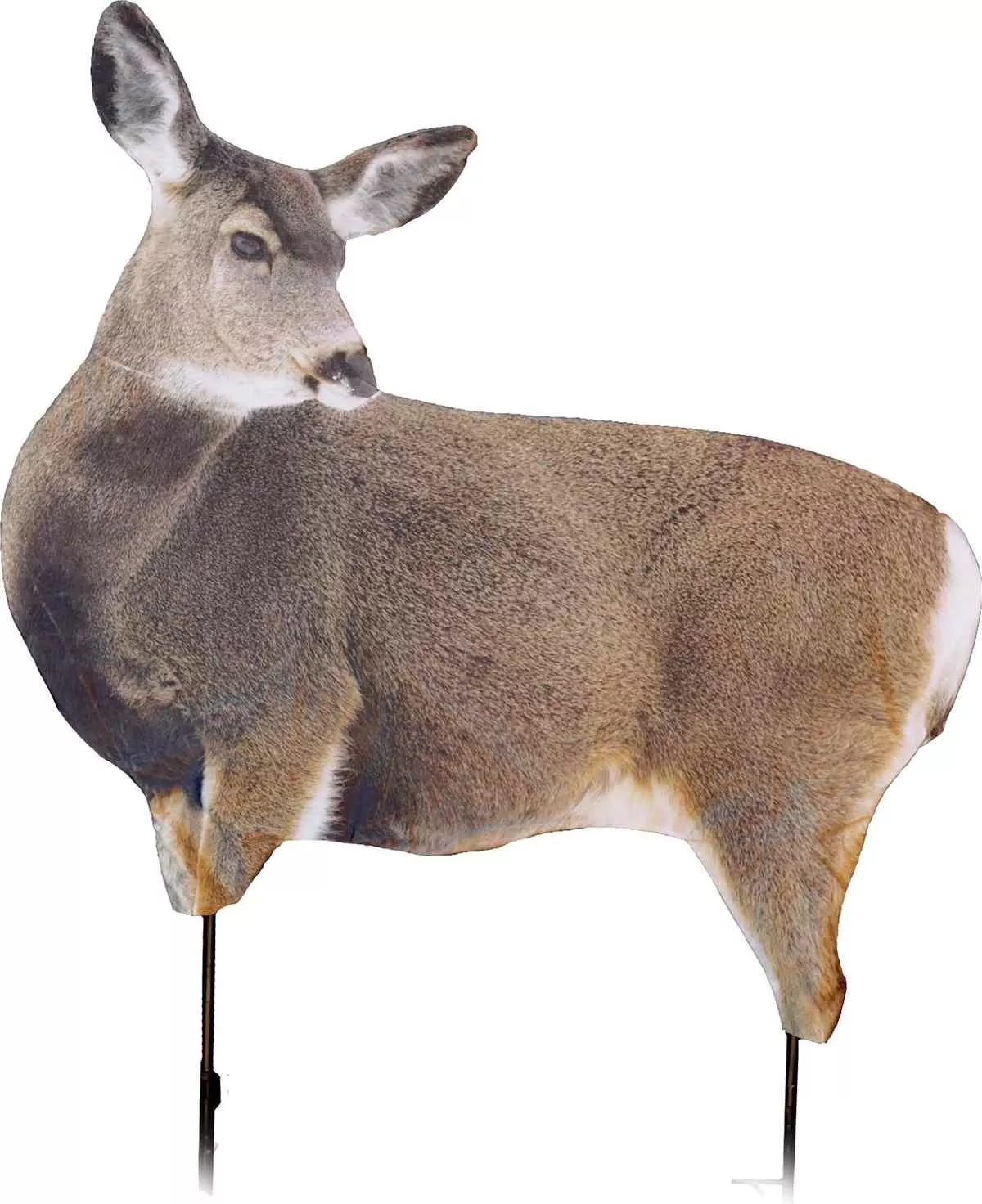 Montana Decoy Co Miss Muley Decoy for Mule Deer Hunting
