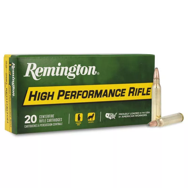 Remington .223 Rem 55gr PSP - 20 Rounds