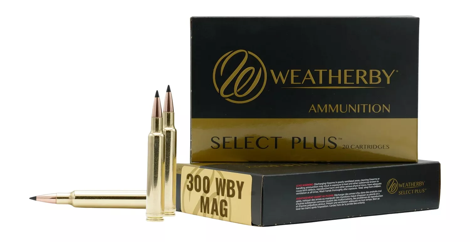 Weatherby 300 WBY 180GR Barnes TTSX Rifle Ammunition